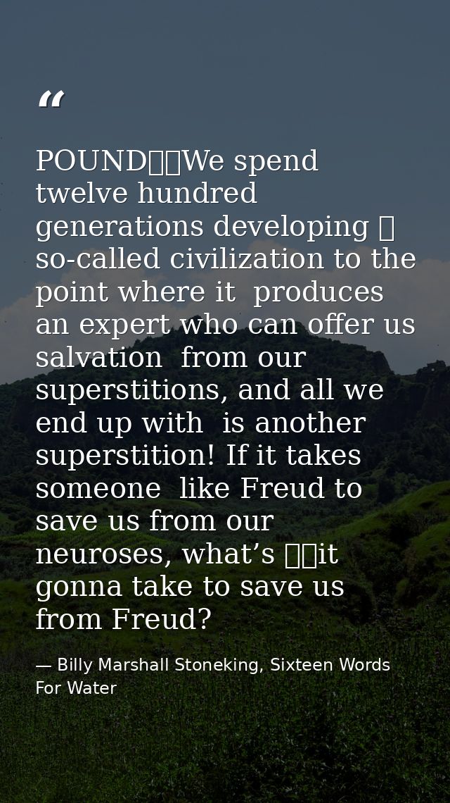POUND		We spend twelve hundred generations developing 	 so-called civilization to the point where it  produces an expert — Billy Marshall Stoneking, Sixteen Words For Water
