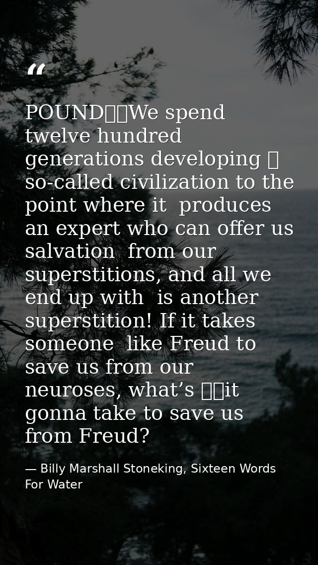 POUND		We spend twelve hundred generations developing 	 so-called civilization to the point where it  produces an expert — Billy Marshall Stoneking, Sixteen Words For Water