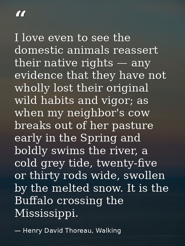 ‎I love even to see the domestic animals reassert their native rights — any evidence that they have not wholly lost thei — Henry David Thoreau, Walking
