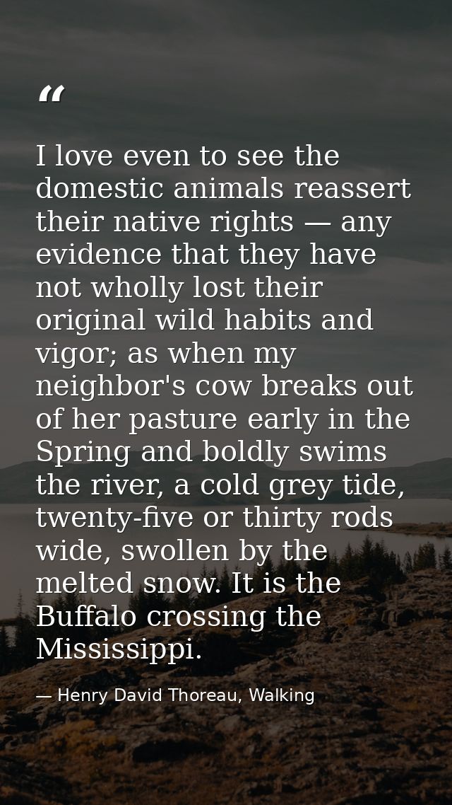 ‎I love even to see the domestic animals reassert their native rights — any evidence that they have not wholly lost thei — Henry David Thoreau, Walking
