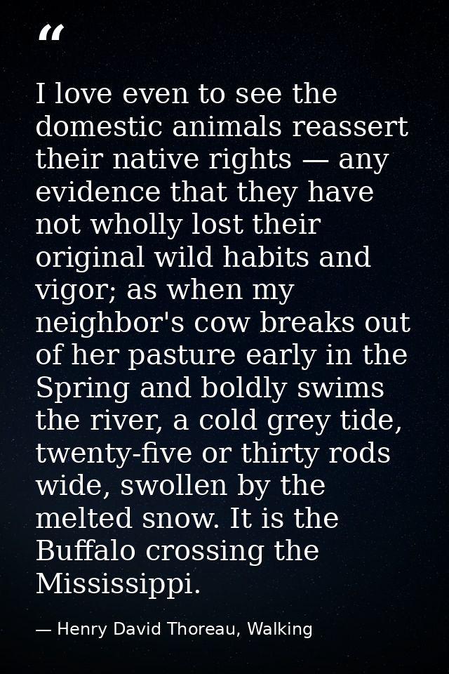 ‎I love even to see the domestic animals reassert their native rights — any evidence that they have not wholly lost thei — Henry David Thoreau, Walking