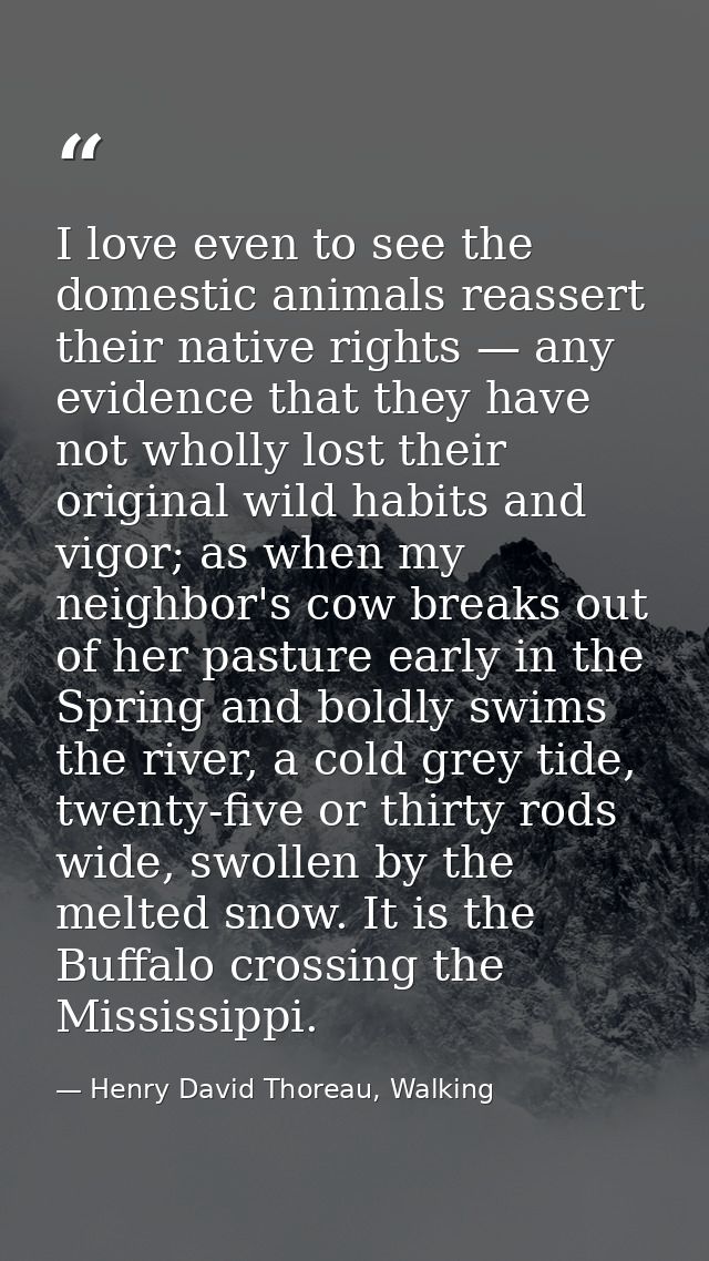 ‎I love even to see the domestic animals reassert their native rights — any evidence that they have not wholly lost thei — Henry David Thoreau, Walking
