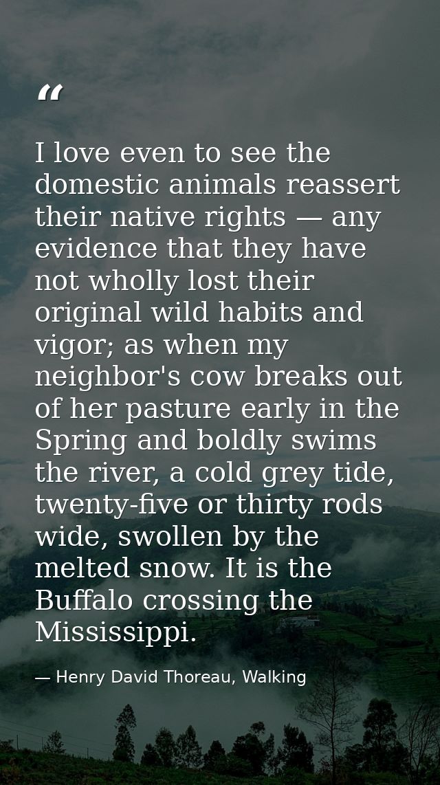 ‎I love even to see the domestic animals reassert their native rights — any evidence that they have not wholly lost thei — Henry David Thoreau, Walking