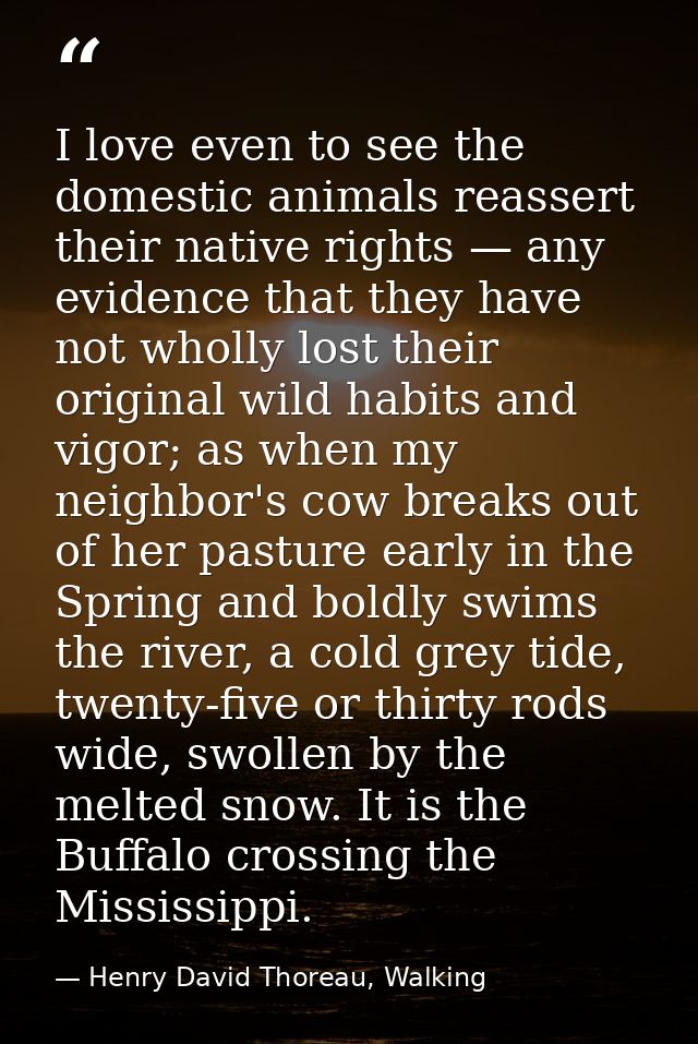 ‎I love even to see the domestic animals reassert their native rights — any evidence that they have not wholly lost thei — Henry David Thoreau, Walking
