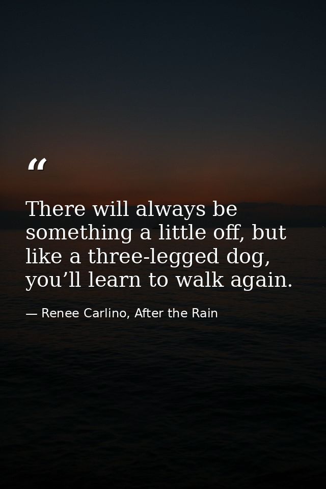 There will always be something a little off, but like a three-legged dog, you’ll learn to walk again. — Renee Carlino, After the Rain