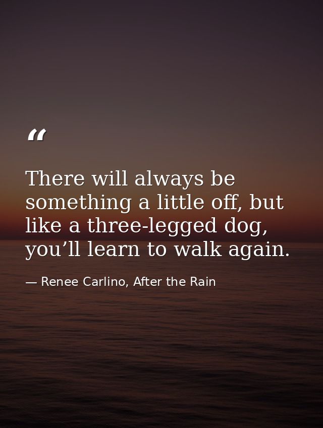There will always be something a little off, but like a three-legged dog, you’ll learn to walk again. — Renee Carlino, After the Rain