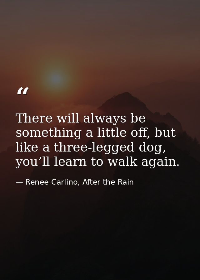 There will always be something a little off, but like a three-legged dog, you’ll learn to walk again. — Renee Carlino, After the Rain
