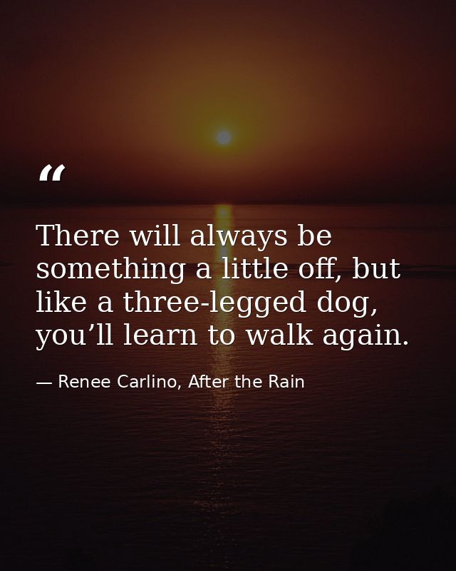 There will always be something a little off, but like a three-legged dog, you’ll learn to walk again. — Renee Carlino, After the Rain