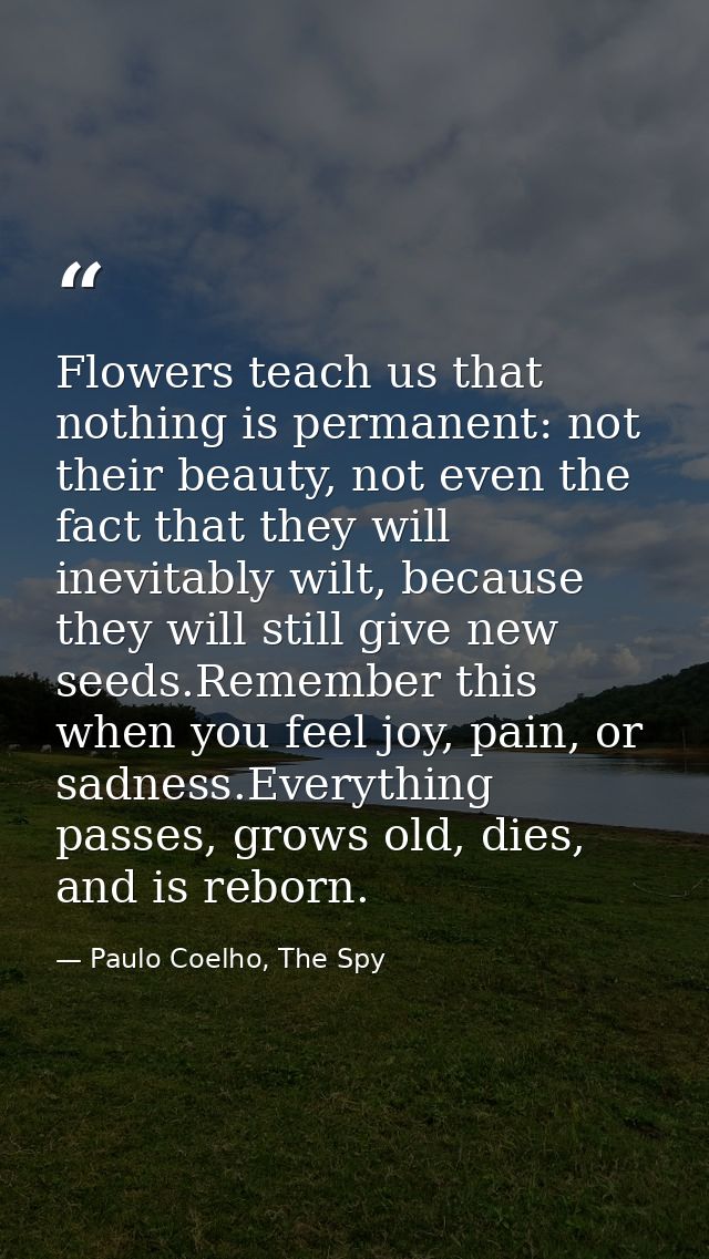 Flowers teach us that nothing is permanent: not their beauty, not even the fact that they will inevitably wilt, because  — Paulo Coelho, The Spy