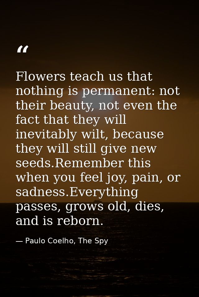 Flowers teach us that nothing is permanent: not their beauty, not even the fact that they will inevitably wilt, because  — Paulo Coelho, The Spy