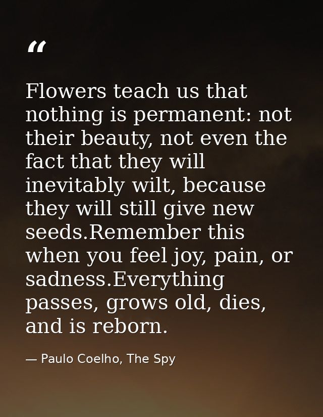 Flowers teach us that nothing is permanent: not their beauty, not even the fact that they will inevitably wilt, because  — Paulo Coelho, The Spy