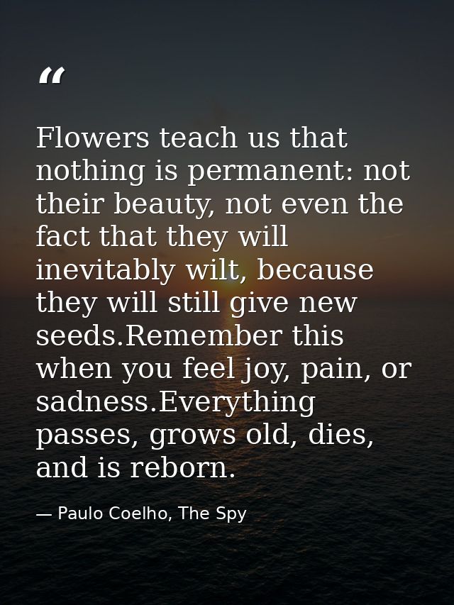 Flowers teach us that nothing is permanent: not their beauty, not even the fact that they will inevitably wilt, because  — Paulo Coelho, The Spy