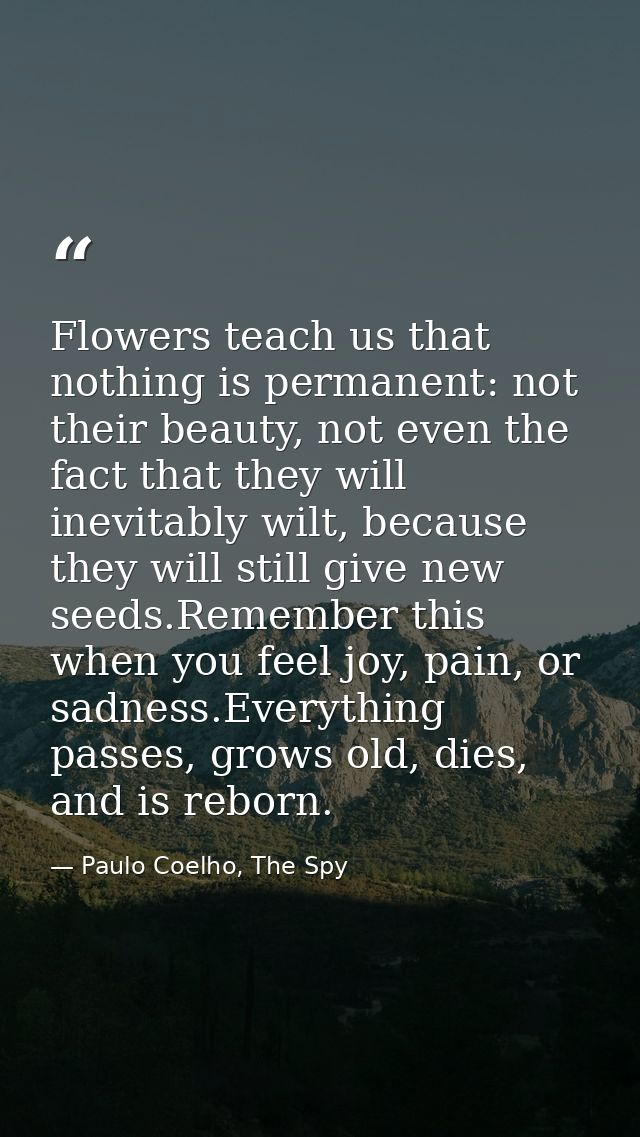 Flowers teach us that nothing is permanent: not their beauty, not even the fact that they will inevitably wilt, because  — Paulo Coelho, The Spy