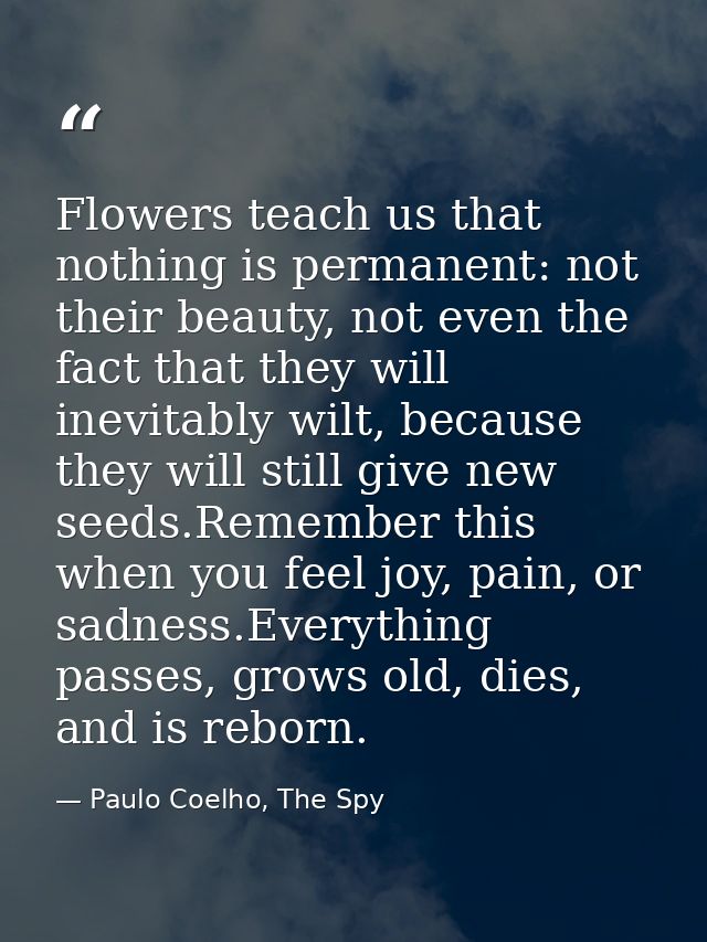 Flowers teach us that nothing is permanent: not their beauty, not even the fact that they will inevitably wilt, because  — Paulo Coelho, The Spy