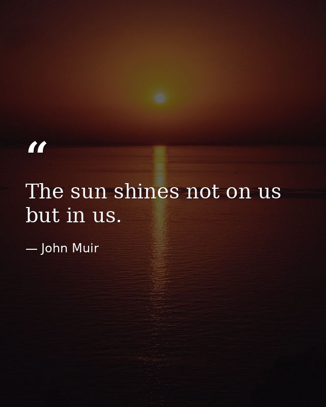 The sun shines not on us but in us. — John Muir