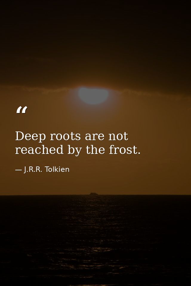 Deep roots are not reached by the frost. — J.R.R. Tolkien