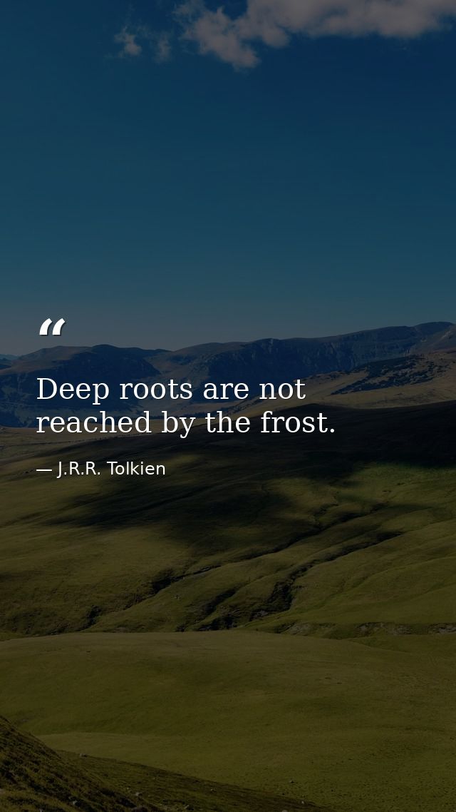 Deep roots are not reached by the frost. — J.R.R. Tolkien
