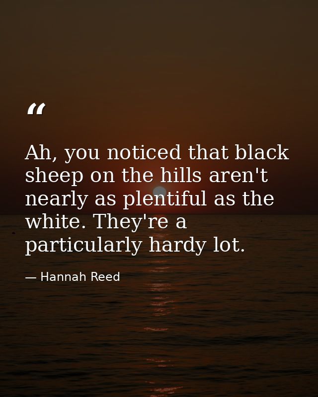 Ah, you noticed that black sheep on the hills aren't nearly as plentiful as the white. They're a particularly hardy lot. — Hannah Reed