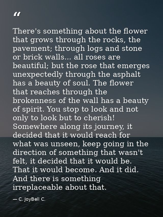 There's something about the flower that grows through the rocks, the pavement; through logs and stone or brick walls...  — C. JoyBell C.