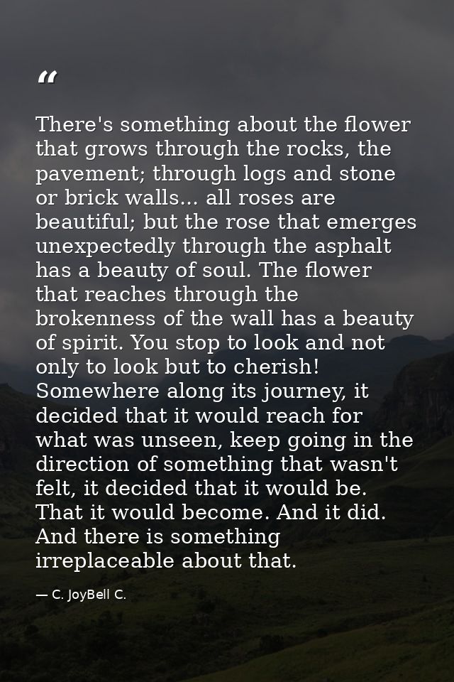 There's something about the flower that grows through the rocks, the pavement; through logs and stone or brick walls...  — C. JoyBell C.