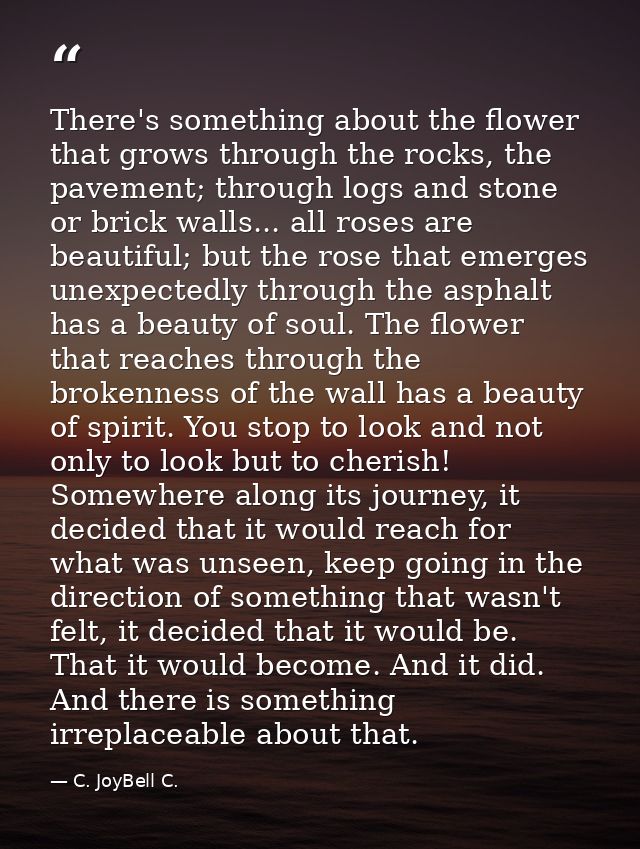 There's something about the flower that grows through the rocks, the pavement; through logs and stone or brick walls...  — C. JoyBell C.