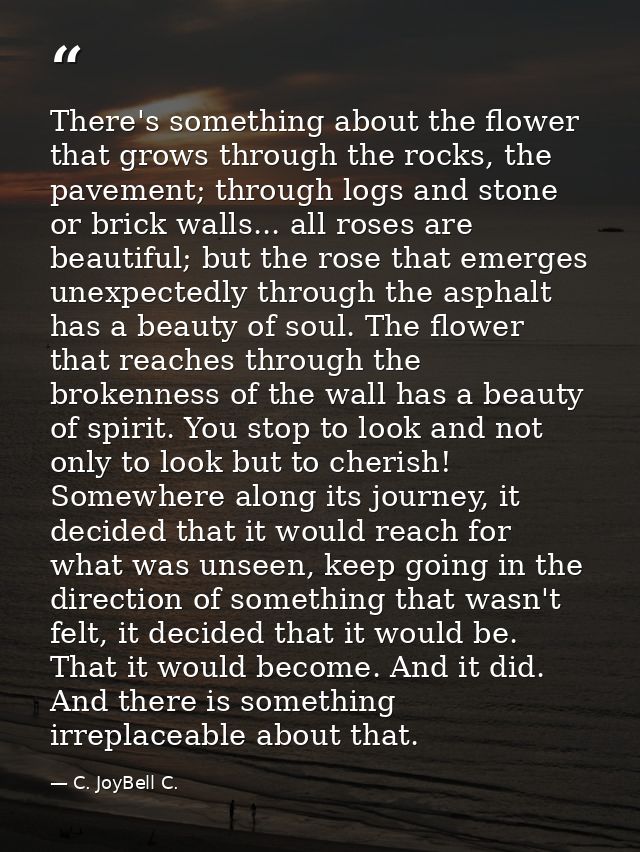 There's something about the flower that grows through the rocks, the pavement; through logs and stone or brick walls...  — C. JoyBell C.