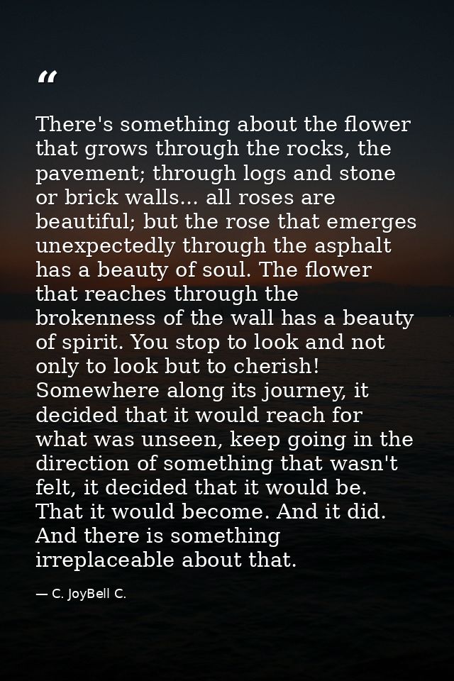 There's something about the flower that grows through the rocks, the pavement; through logs and stone or brick walls...  — C. JoyBell C.