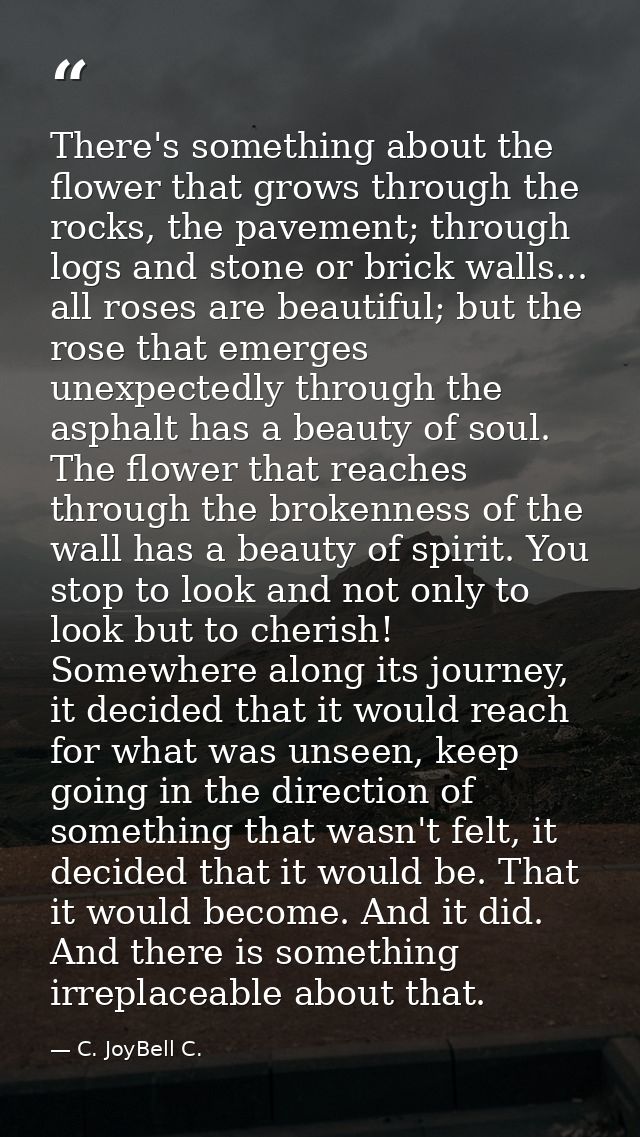 There's something about the flower that grows through the rocks, the pavement; through logs and stone or brick walls...  — C. JoyBell C.