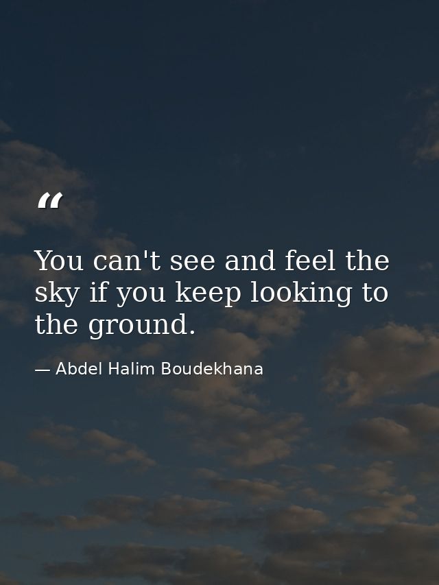 You can't see and feel the sky if you keep looking to the ground. — Abdel Halim Boudekhana