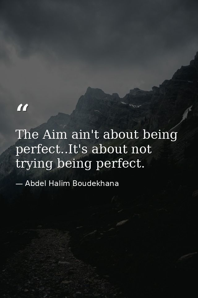 The Aim ain't about being perfect..It's about not trying being perfect. — Abdel Halim Boudekhana