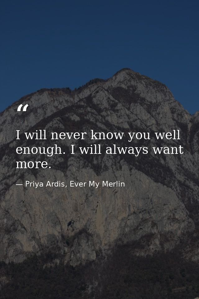 I will never know you well enough. I will always want more. — Priya Ardis, Ever My Merlin