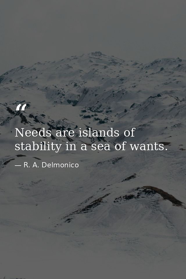 Needs are islands of stability in a sea of wants. — R. A. Delmonico