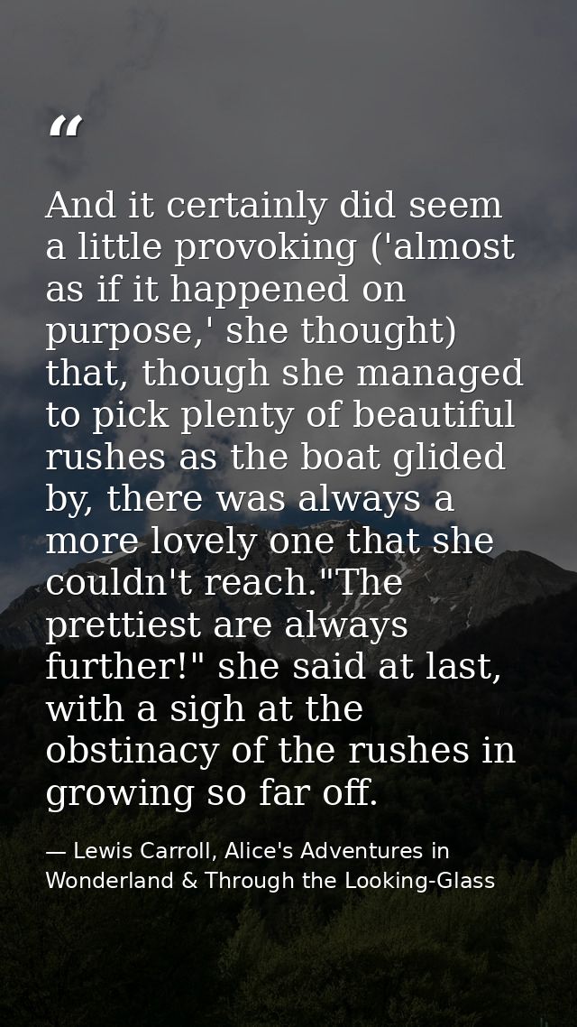 And it certainly did seem a little provoking ('almost as if it happened on purpose,' she thought) that, though she manag — Lewis Carroll, Alice's Adventures in Wonderland & Through the Looking-Glass