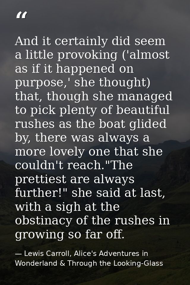 And it certainly did seem a little provoking ('almost as if it happened on purpose,' she thought) that, though she manag — Lewis Carroll, Alice's Adventures in Wonderland & Through the Looking-Glass