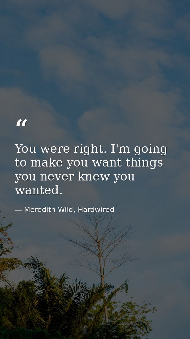 You were right. I'm going to make you want things you never knew you wanted. — Meredith Wild, Hardwired