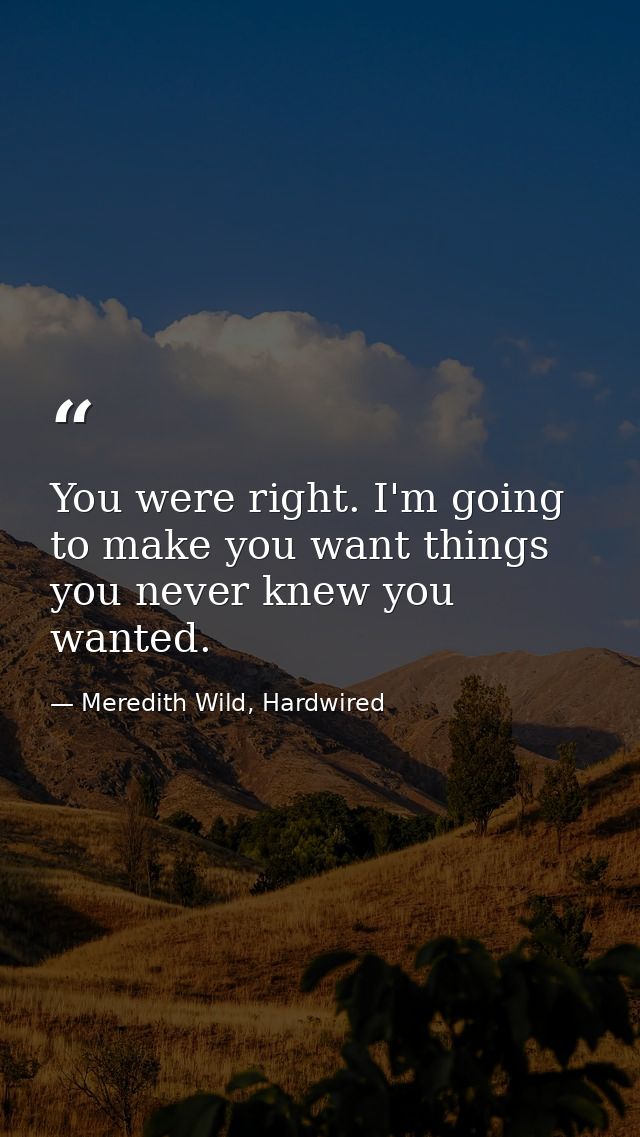 You were right. I'm going to make you want things you never knew you wanted. — Meredith Wild, Hardwired