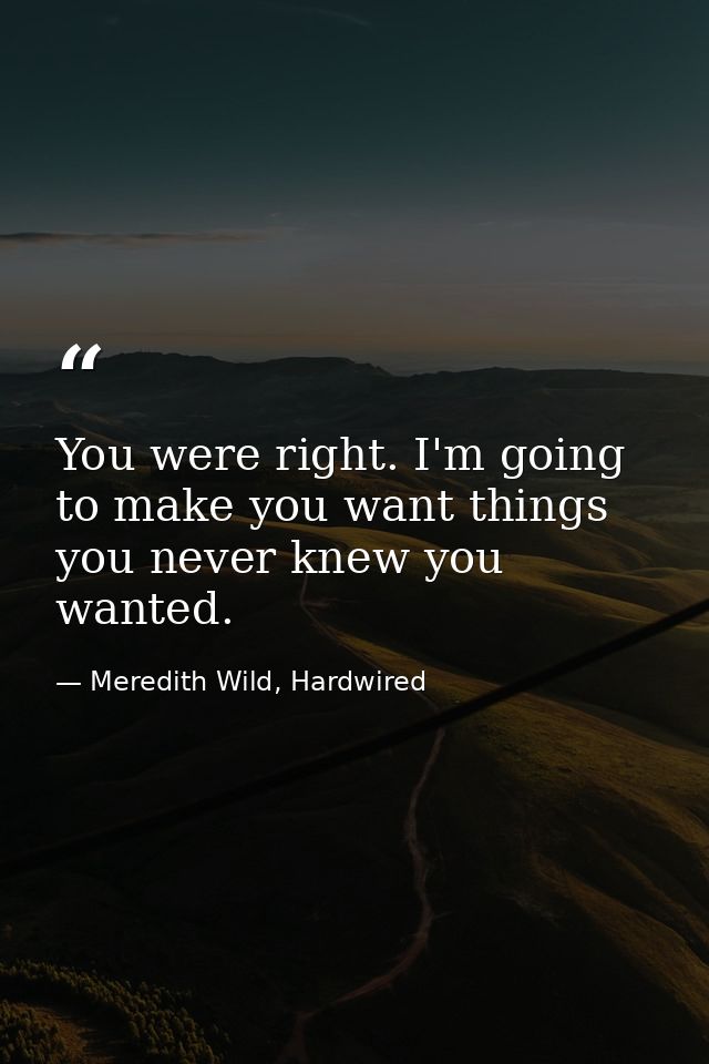 You were right. I'm going to make you want things you never knew you wanted. — Meredith Wild, Hardwired