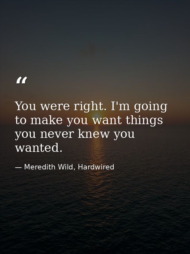 You were right. I'm going to make you want things you never knew you wanted. — Meredith Wild, Hardwired