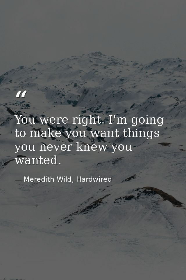 You were right. I'm going to make you want things you never knew you wanted. — Meredith Wild, Hardwired