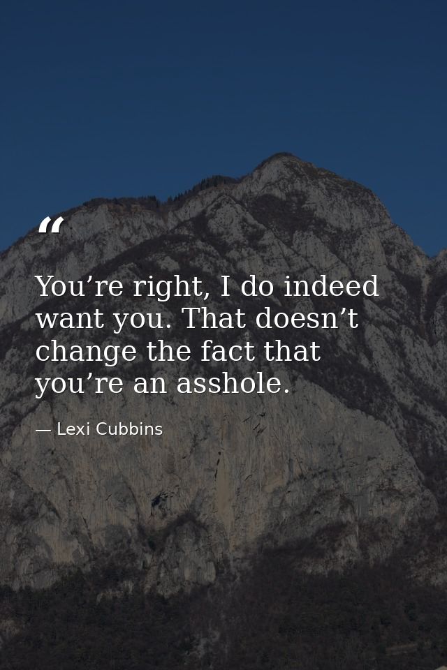 You’re right, I do indeed want you. That doesn’t change the fact that you’re an asshole. — Lexi Cubbins