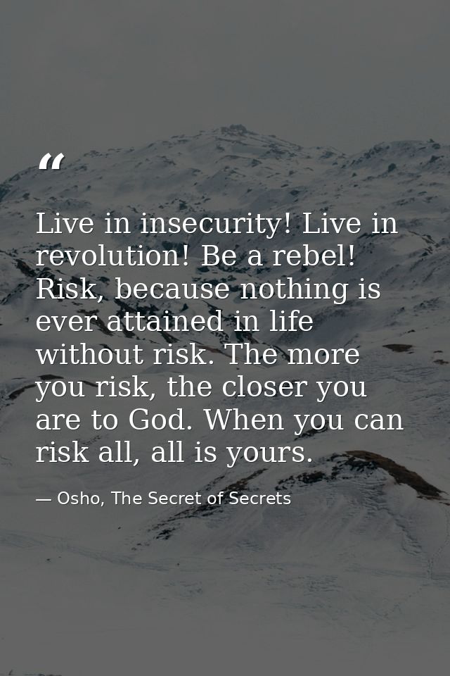 Live in insecurity! Live in revolution! Be a rebel! Risk, because nothing is ever attained in life without risk. The mor — Osho, The Secret of Secrets