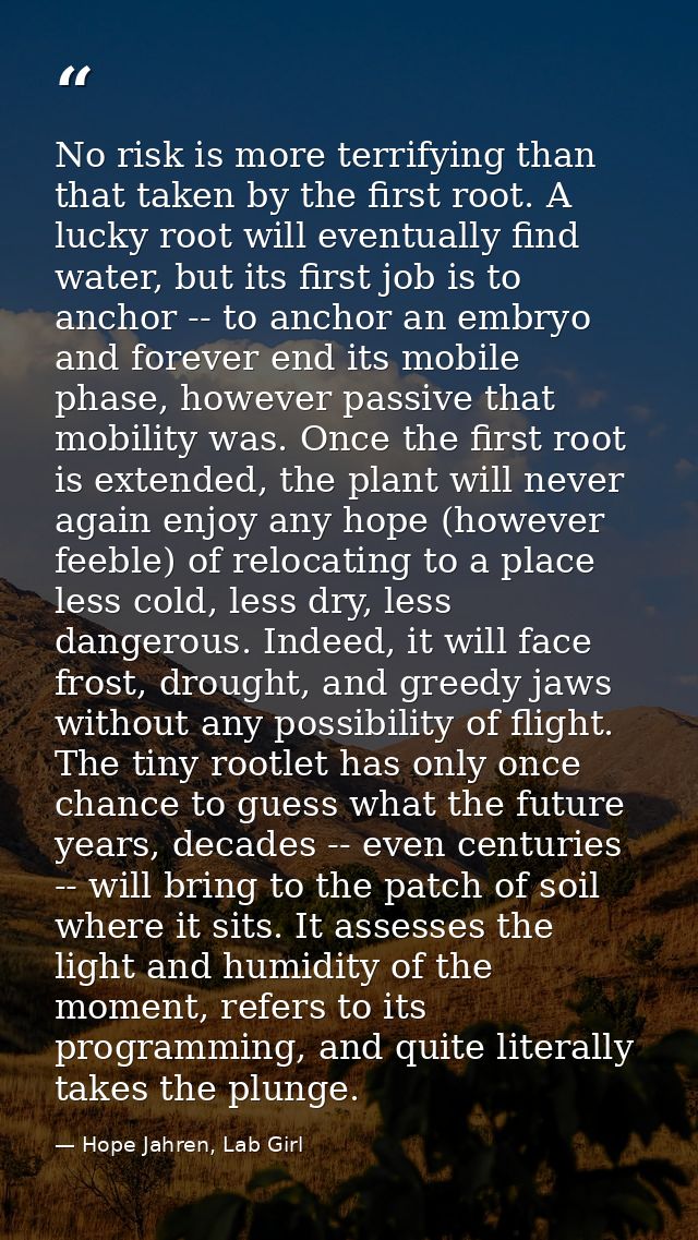 No risk is more terrifying than that taken by the first root. A lucky root will eventually find water, but its first job — Hope Jahren, Lab Girl