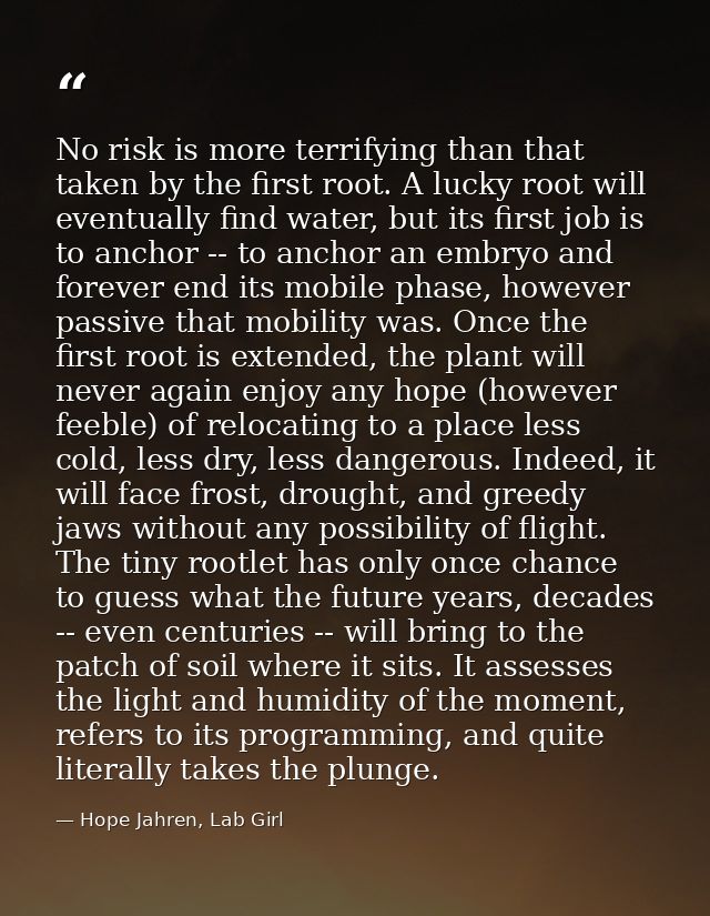 No risk is more terrifying than that taken by the first root. A lucky root will eventually find water, but its first job — Hope Jahren, Lab Girl