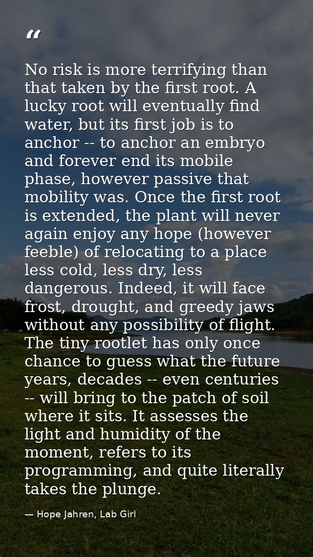 No risk is more terrifying than that taken by the first root. A lucky root will eventually find water, but its first job — Hope Jahren, Lab Girl