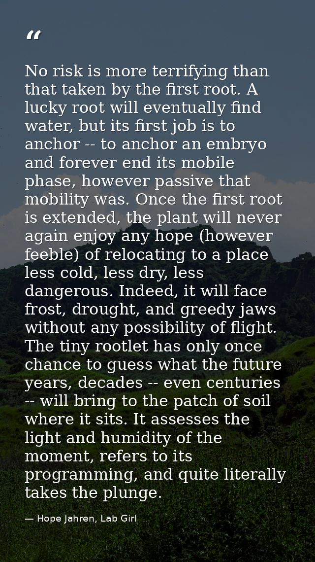No risk is more terrifying than that taken by the first root. A lucky root will eventually find water, but its first job — Hope Jahren, Lab Girl