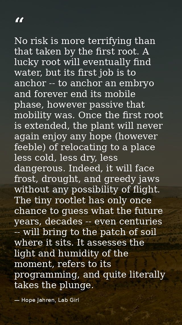 No risk is more terrifying than that taken by the first root. A lucky root will eventually find water, but its first job — Hope Jahren, Lab Girl