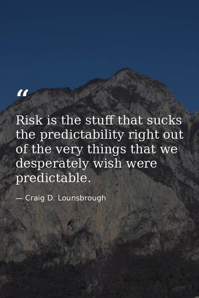 Risk is the stuff that sucks the predictability right out of the very things that we desperately wish were predictable. — Craig D. Lounsbrough