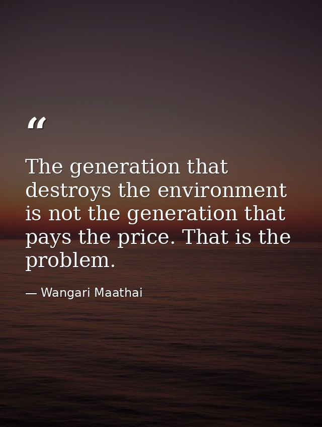 The generation that destroys the environment is not the generation that pays the price. That is the problem. — Wangari Maathai