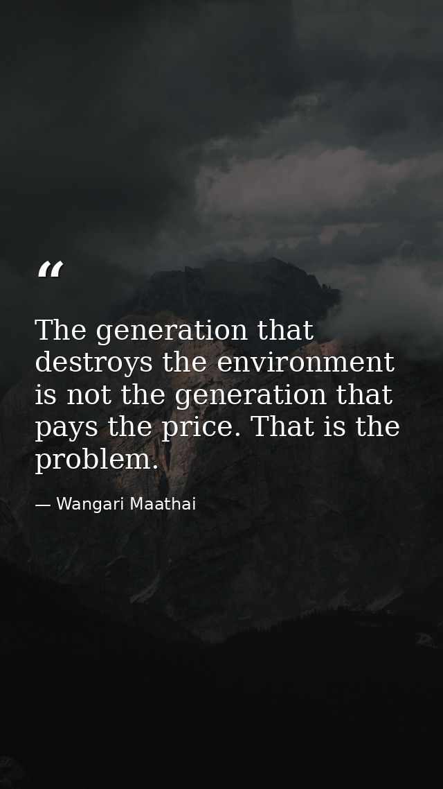 The generation that destroys the environment is not the generation that pays the price. That is the problem. — Wangari Maathai