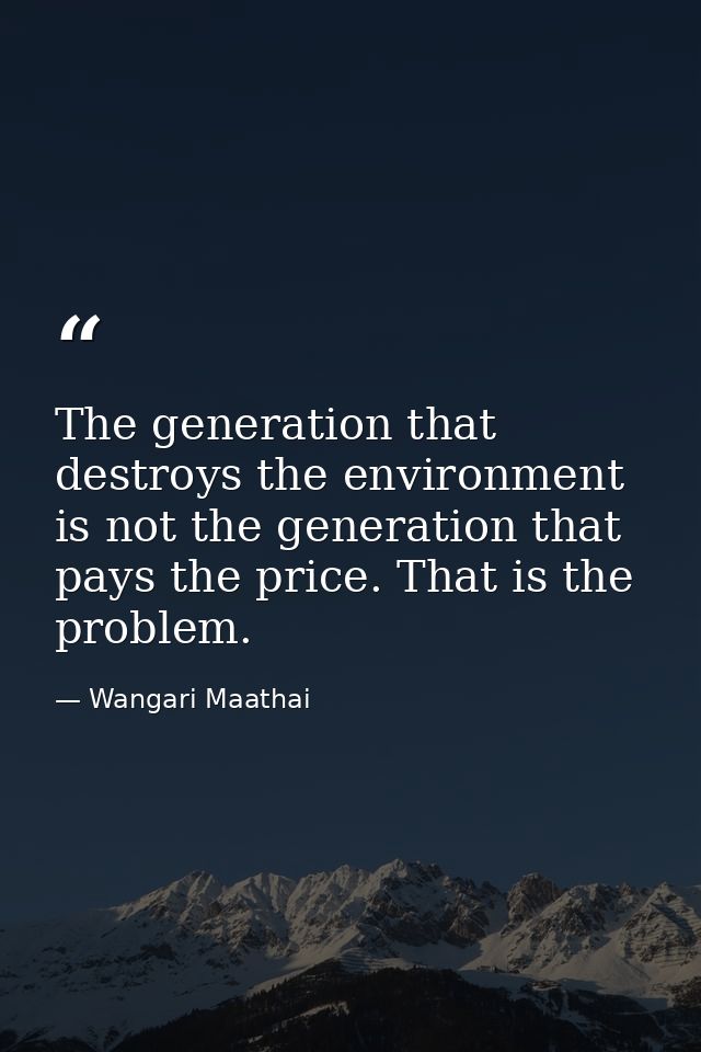 The generation that destroys the environment is not the generation that pays the price. That is the problem. — Wangari Maathai